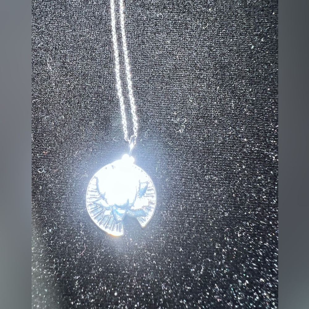 Origami owl pendant w/ chain